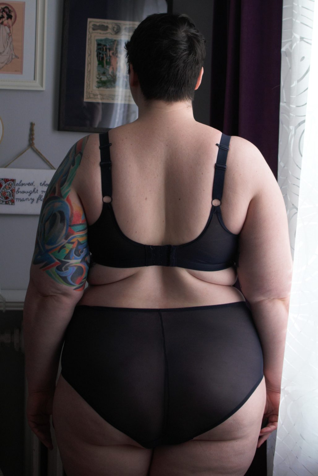 Plus Size Lingerie Review Elomi Matilda And Sachi