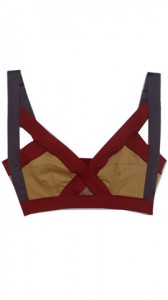 Fig 2. VPL Lingerie Insertion Bra