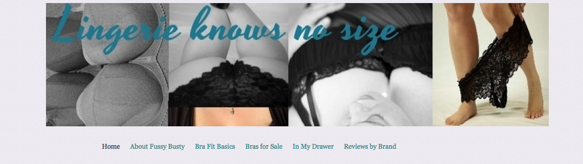 5 Lingerie Blogs to Read in 2013