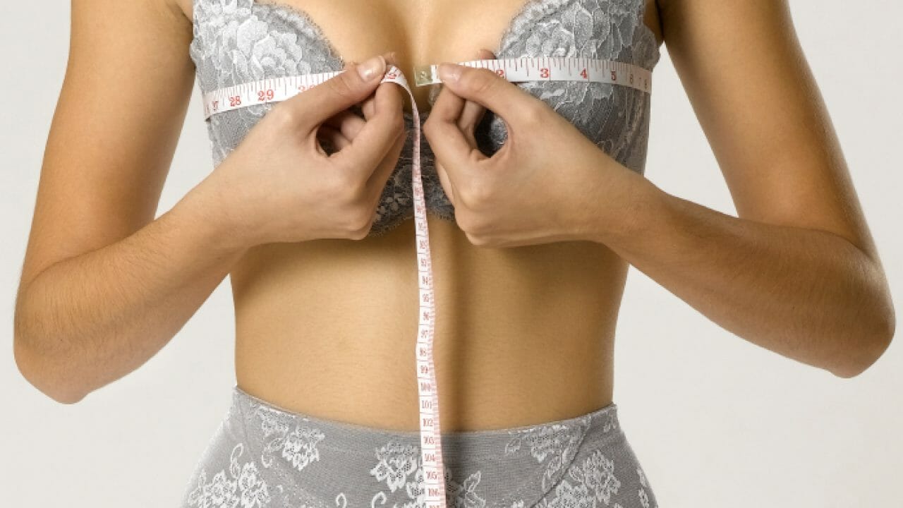 Lingerie Sample Sizes, Part 1: What is a Sample Size?