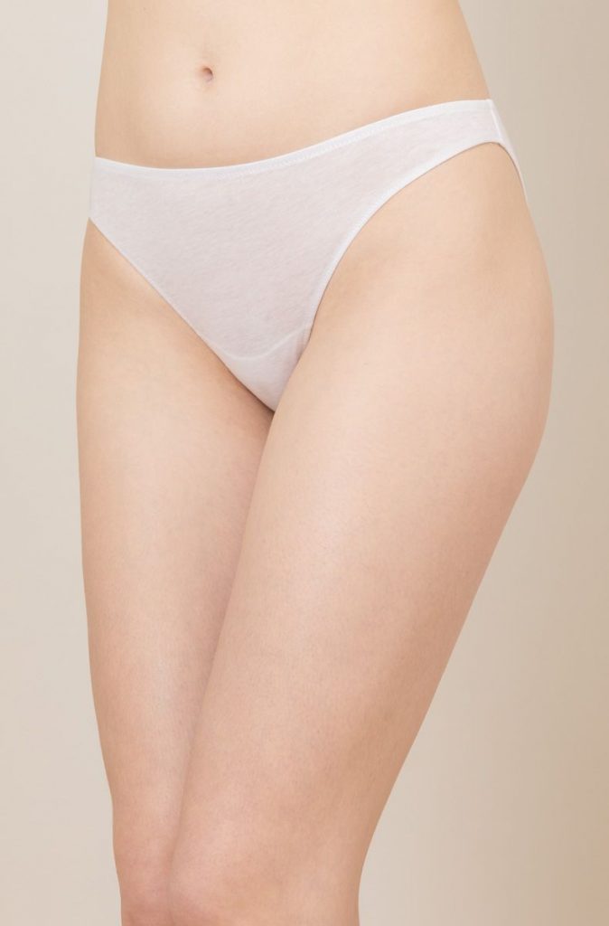  Hanes Womens Organic Cotton Panties Pack